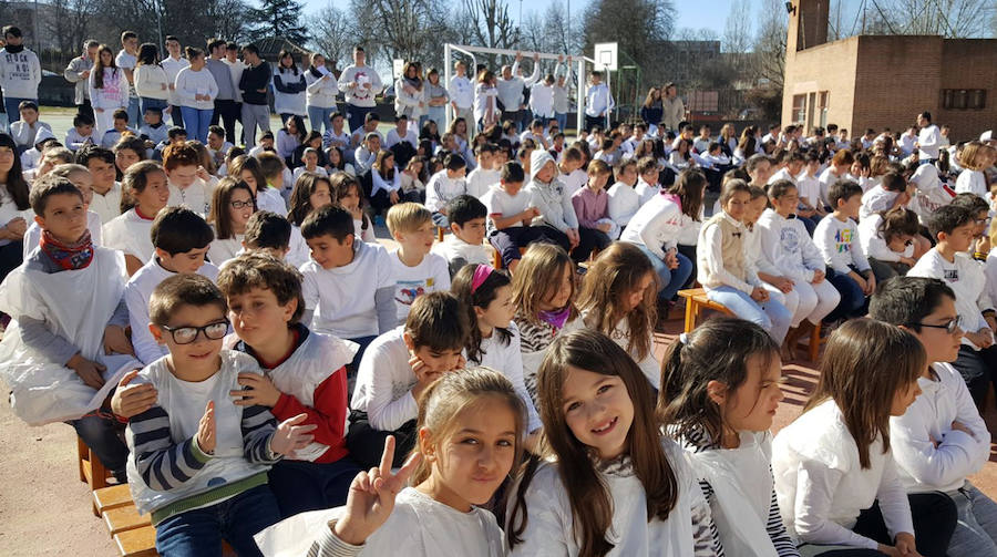 Colegio Cooperativa Alcázar,