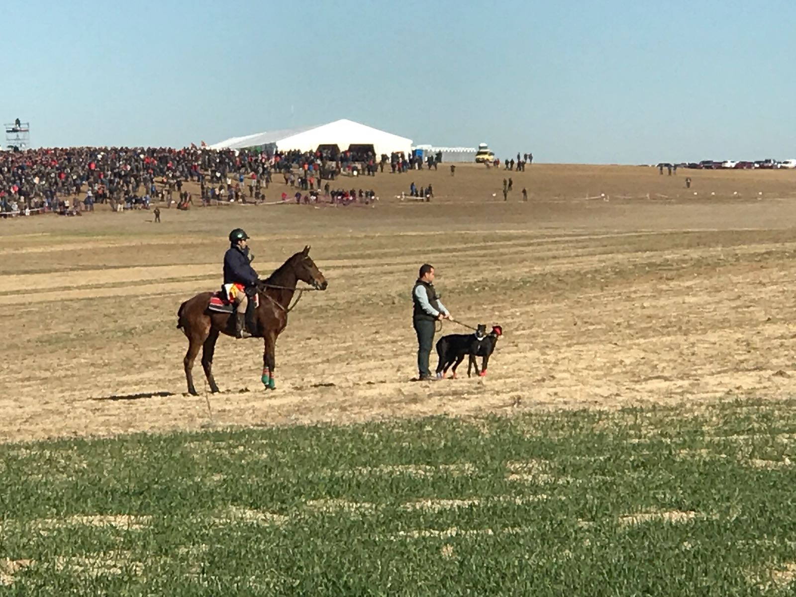 El sorteo de las colleras para la semifinal del Campeonato Nacional de Galgos, ha emparejado en a Donante contra Milana, ambos galgos andaluces, y en la segunda collera, a Tarrrita de Tarrito contra Malú de Villadiezma, ambas de Castilla y León