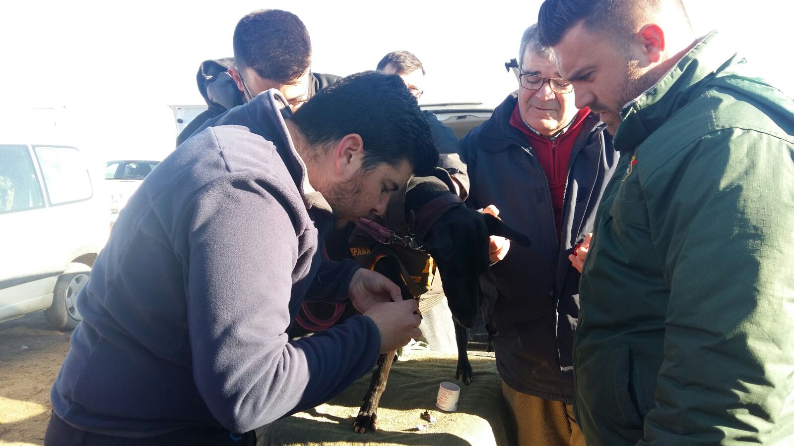 El sorteo de las colleras para la semifinal del Campeonato Nacional de Galgos, ha emparejado en a Donante contra Milana, ambos galgos andaluces, y en la segunda collera, a Tarrrita de Tarrito contra Malú de Villadiezma, ambas de Castilla y León