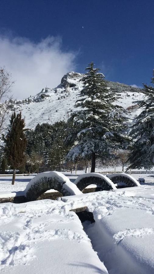 Nevada en Velilla (02-02-2018)