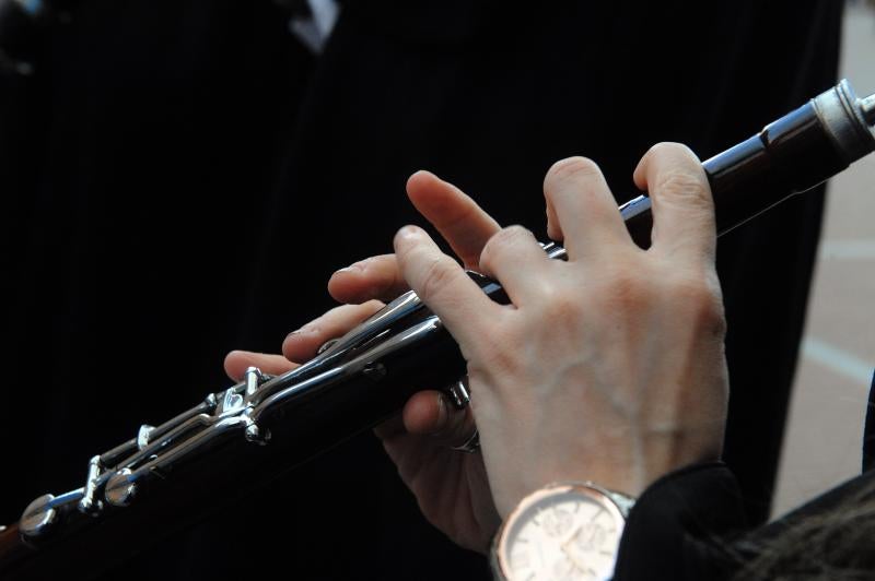 XVII Concentración Comarcal de Águedas de la zona sur de la provincia de Valladolid en Alaejos