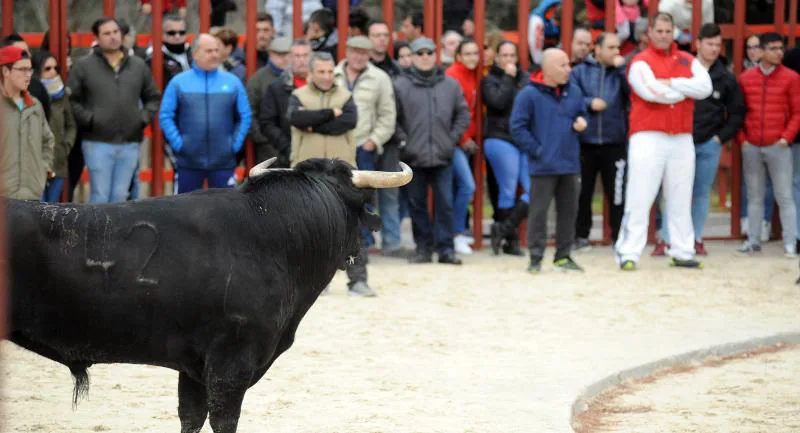 Encierro en Viana de Cega