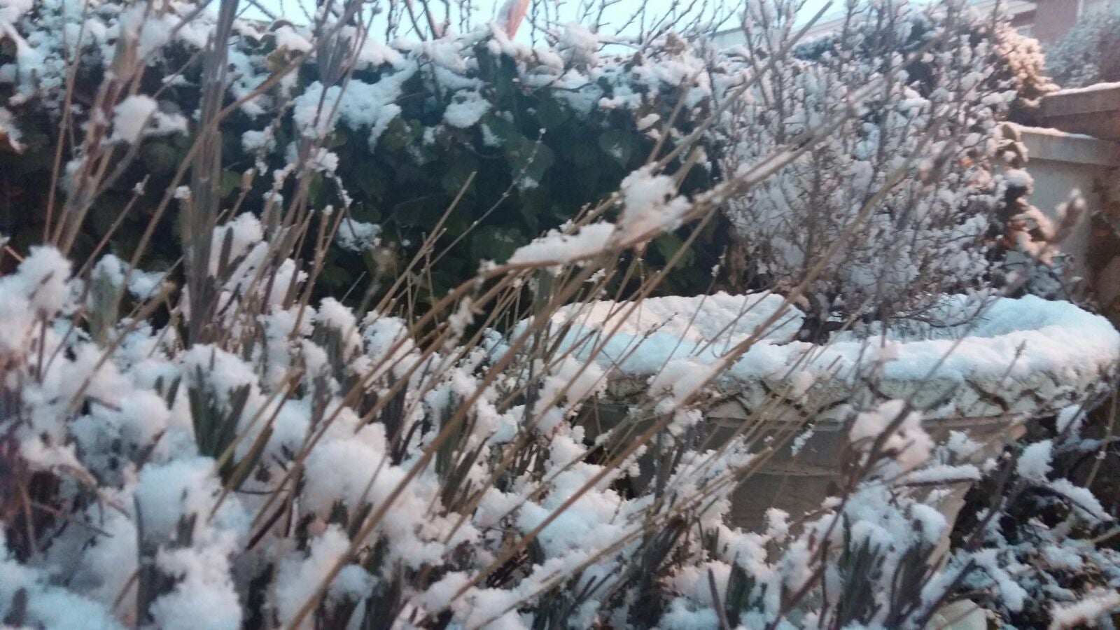 Nieve en Medina del Campo