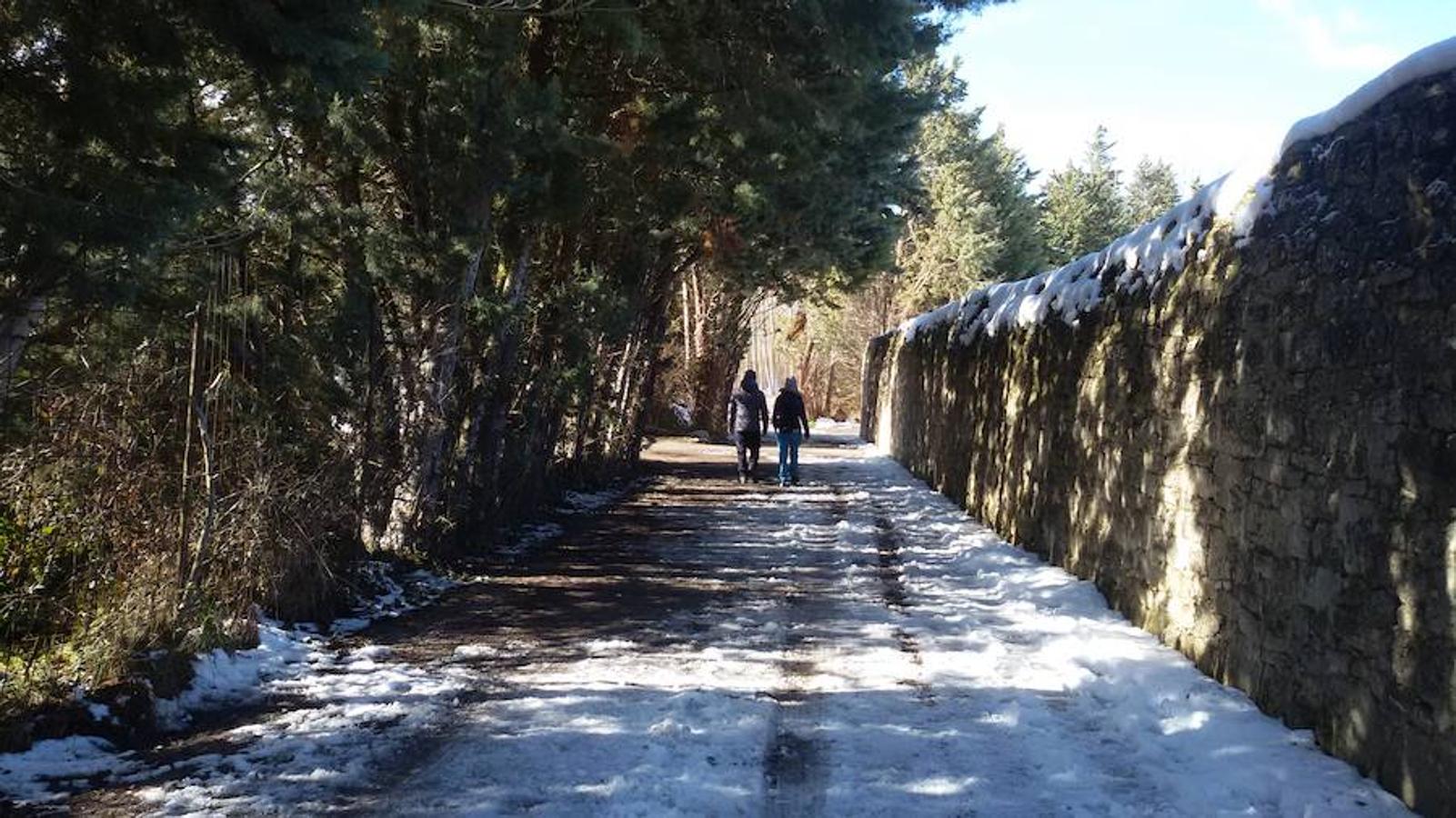 Las nevadas dejan estas imágenes del Pantano de Aguilar