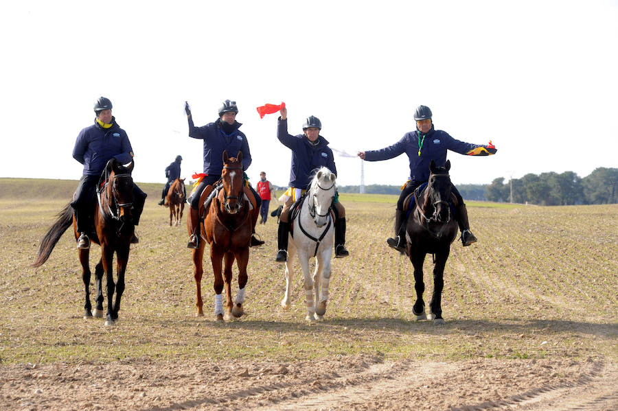 Final del Campeonato de España de Galgos, celebrado en Madrigal de las Altas Torres