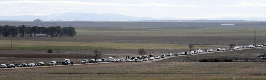 Final del Campeonato de España de Galgos, celebrado en Madrigal de las Altas Torres