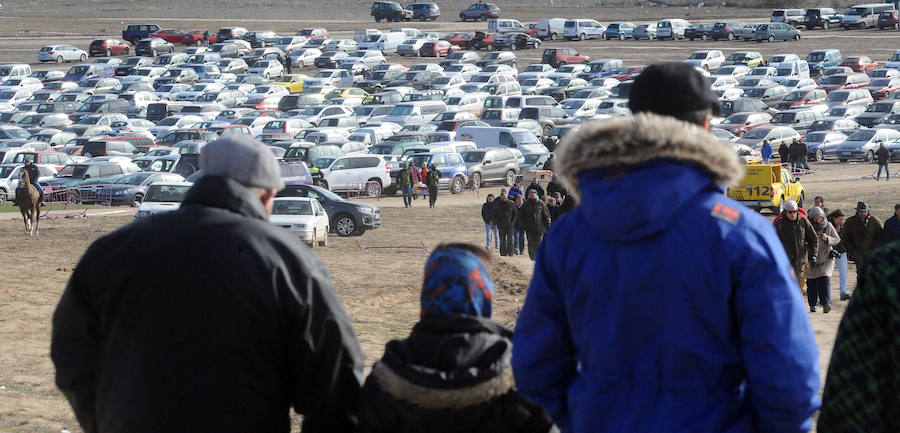 Final del Campeonato de España de Galgos, celebrado en Madrigal de las Altas Torres