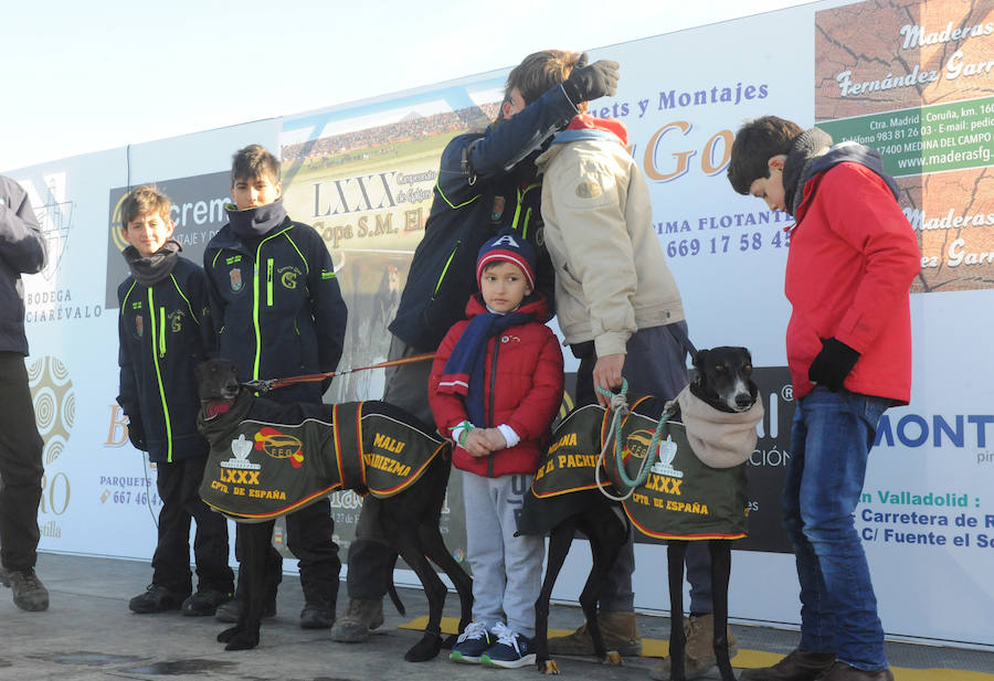 Final del Campeonato de España de Galgos, celebrado en Madrigal de las Altas Torres
