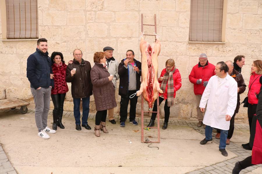 Fiesta de la Matanza en Tariego de Cerrato