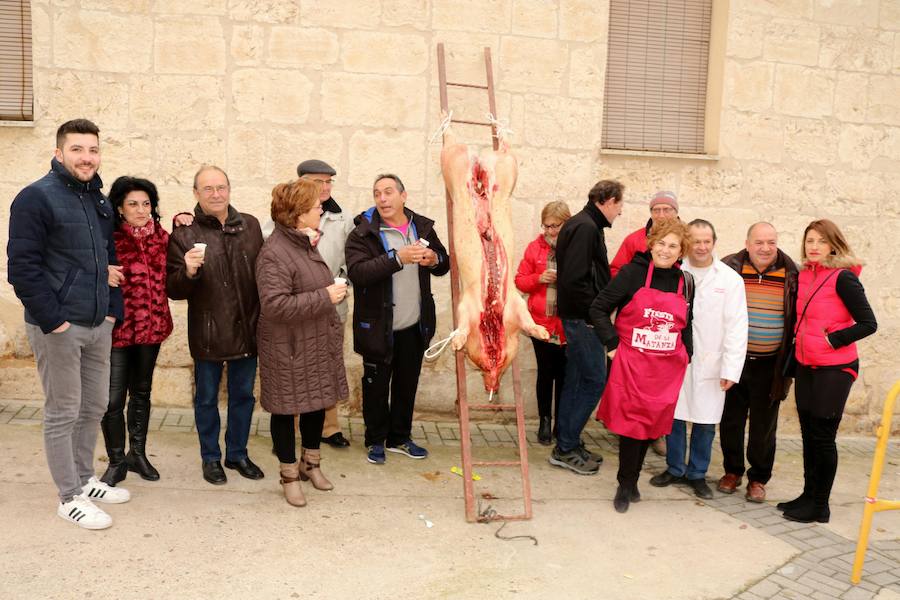 Fiesta de la Matanza en Tariego de Cerrato