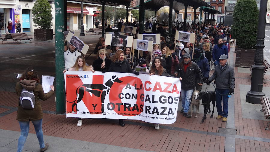 Manifestación organizada con lema No A la Caza