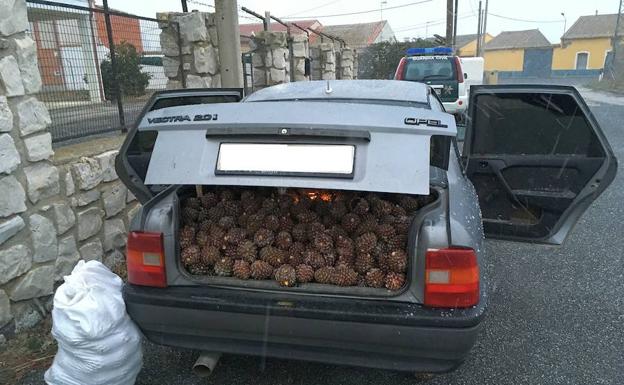 Vehículo de los detenidos, con el maletero lleno de piñas.