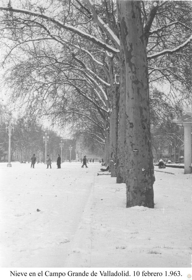 Nevadas históricas en Valladolid