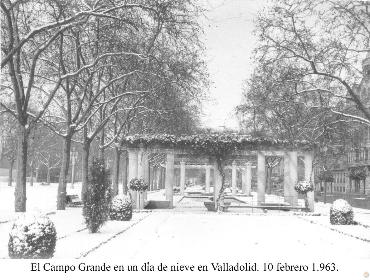 Nevadas históricas en Valladolid
