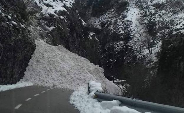 Avalancha de nieve en el puerto de los Beyos. 