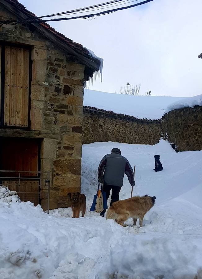 Deja de nevar en Palencia, pero la nieve tardará en marcharse