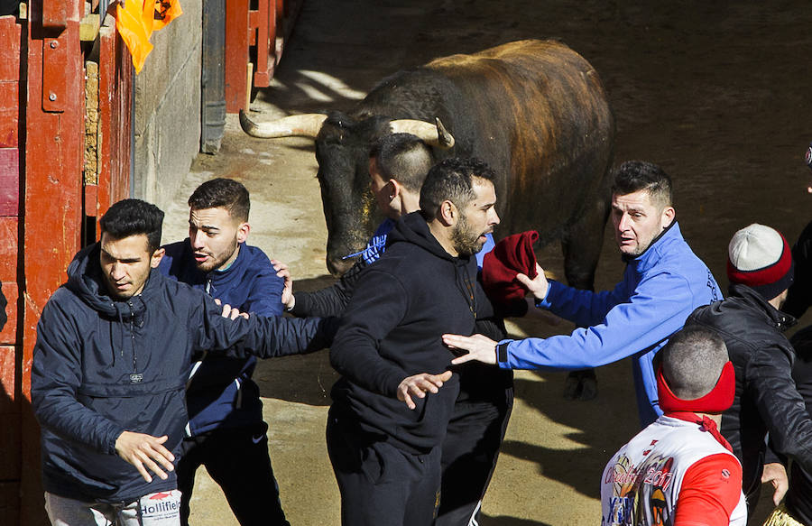Sábado en el Carnaval del Toro de Ciudad Rodrigo