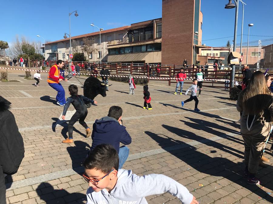 Sábado en el Carnaval del Toro de Ciudad Rodrigo