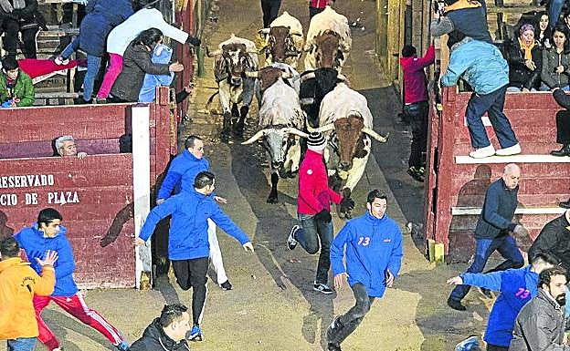 Varios de los mansos hacen su entrada en la Plaza Mayor
