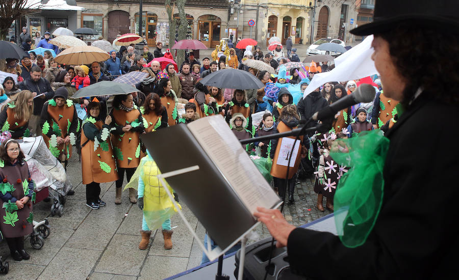 Domingo de carnaval en Segovia
