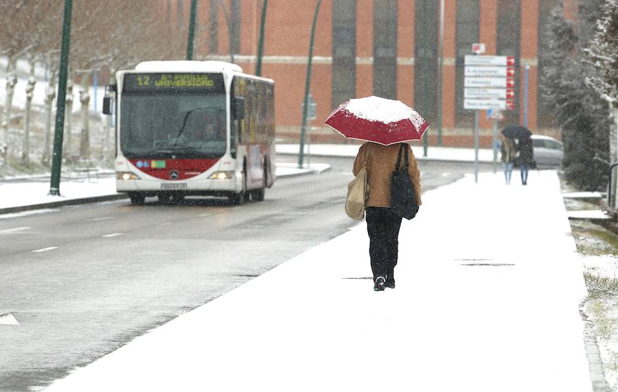 La baja cota de nieve propicia que de nuevo el blanco elemento llegue a la capital | La provincia se encuentra en alerta amarilla