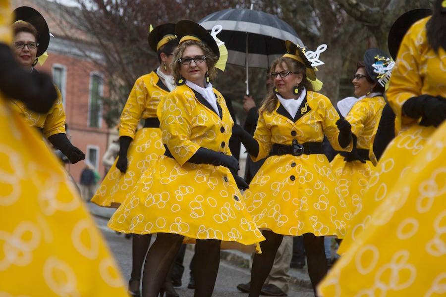 han participado decenas de niños, mayores y murgas, con ingeniosos y divertidos disfraces, carros y carrozas. 