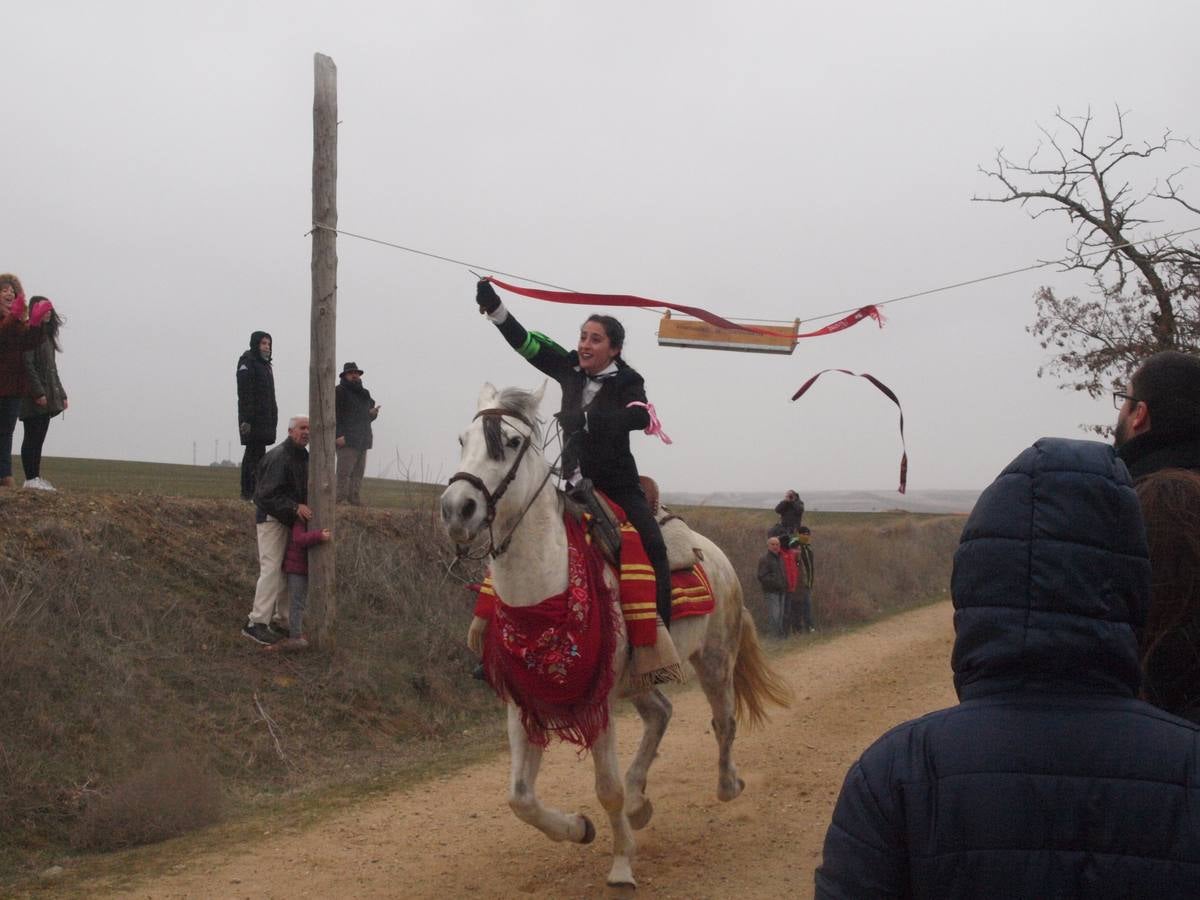 Carrera de cintas a caballo de los quintos de Torrelobatón