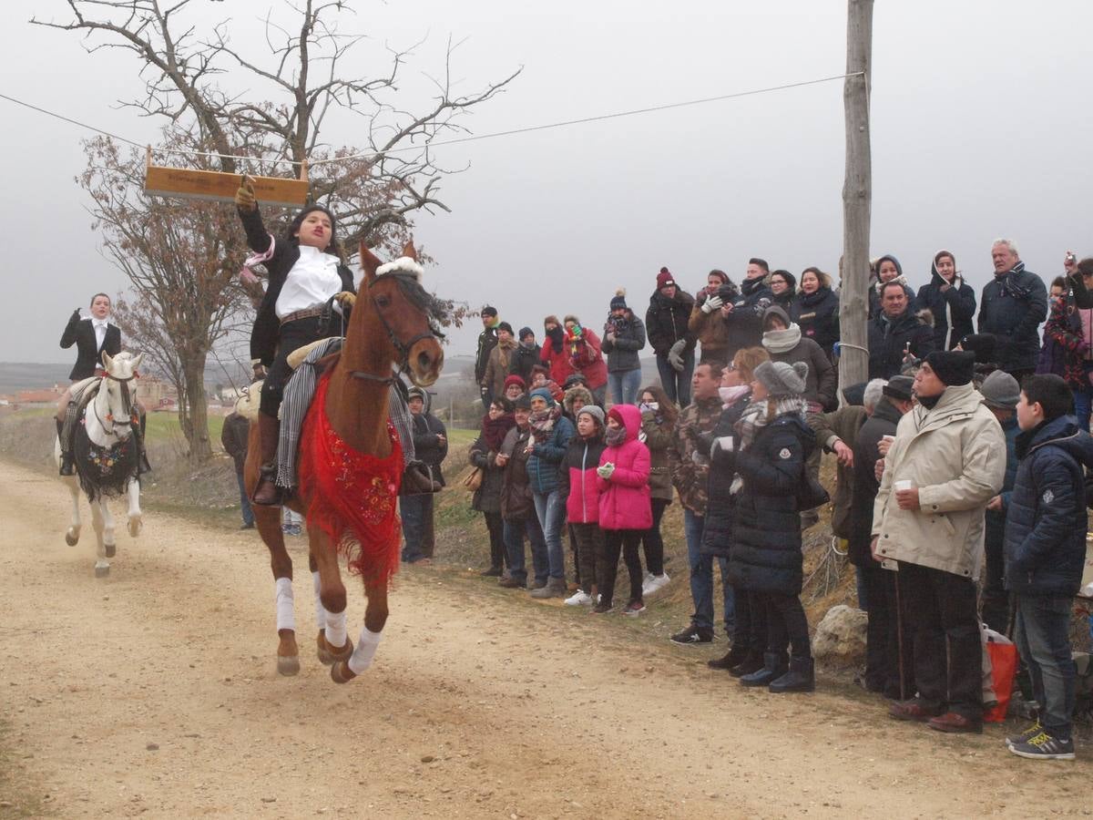 Carrera de cintas a caballo de los quintos de Torrelobatón