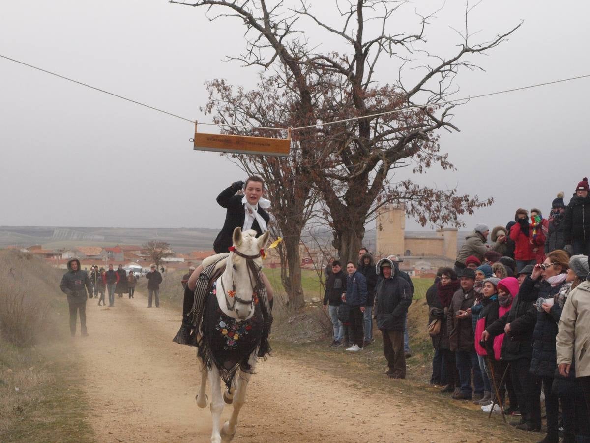 Carrera de cintas a caballo de los quintos de Torrelobatón