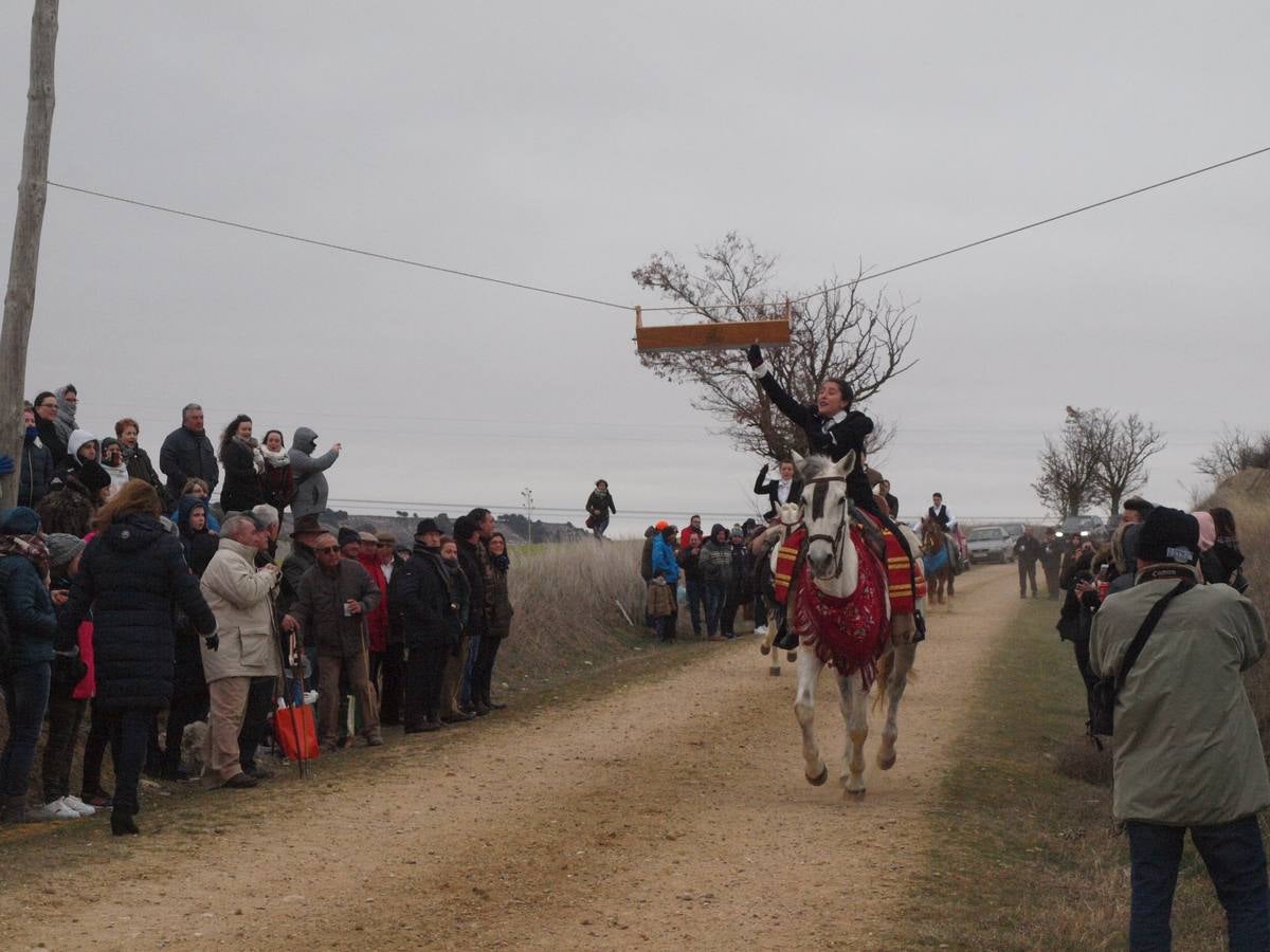Carrera de cintas a caballo de los quintos de Torrelobatón