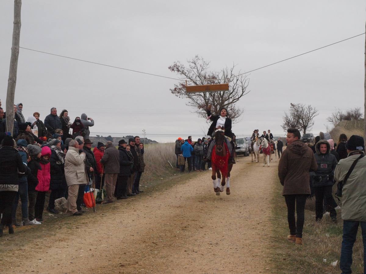 Carrera de cintas a caballo de los quintos de Torrelobatón