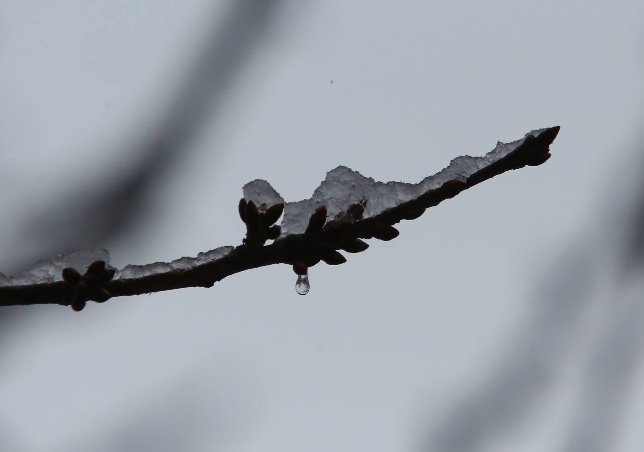 Regresa el temporal de nieve a León