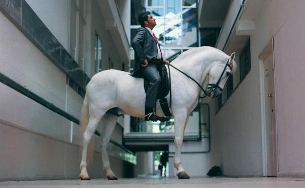 'Arquitectura para caballo', de Fernando Sánchez Castillo. 