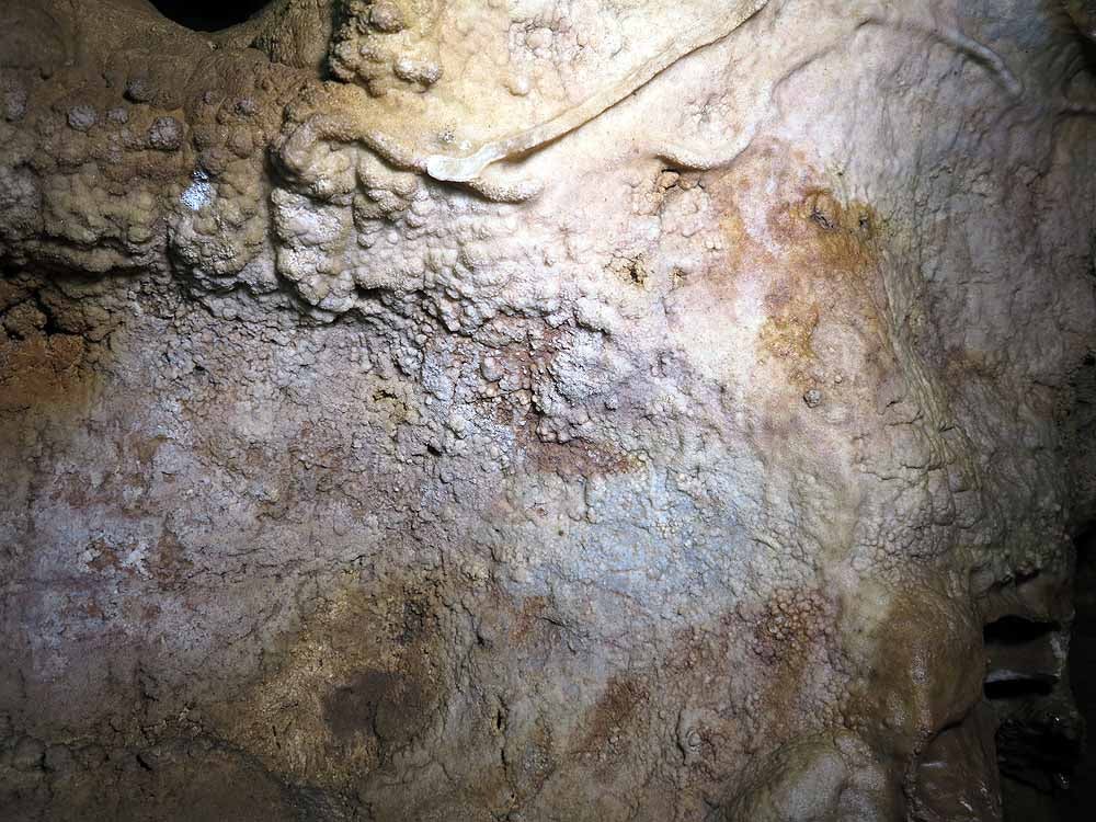 Fotos: Descubren arte de 65.000 años de antigüedad realizado por neandertales