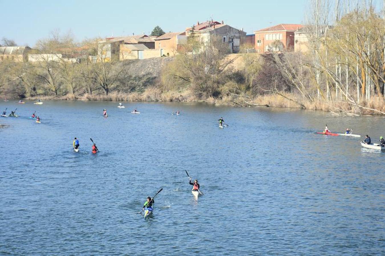 Fotos: Campeonato de Piragüismo en Torquemada