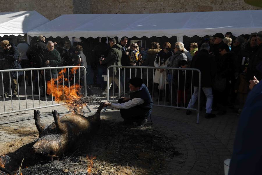 Más de 600 personas se dieron cita el sábado para celebrar la matanza del cerdo, una tradición a la que los habitantes del Valle del Cuco no quieren renunciar.