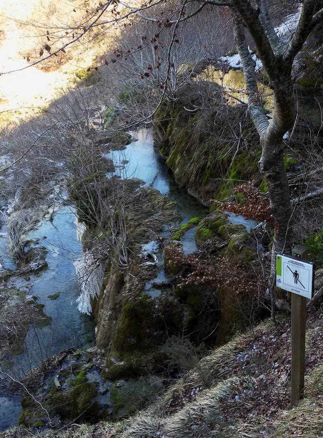 Fotos: Hielo y bajas temperaturas en Covalagua