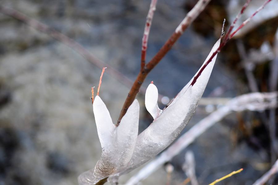 Fotos: Hielo y bajas temperaturas en Covalagua