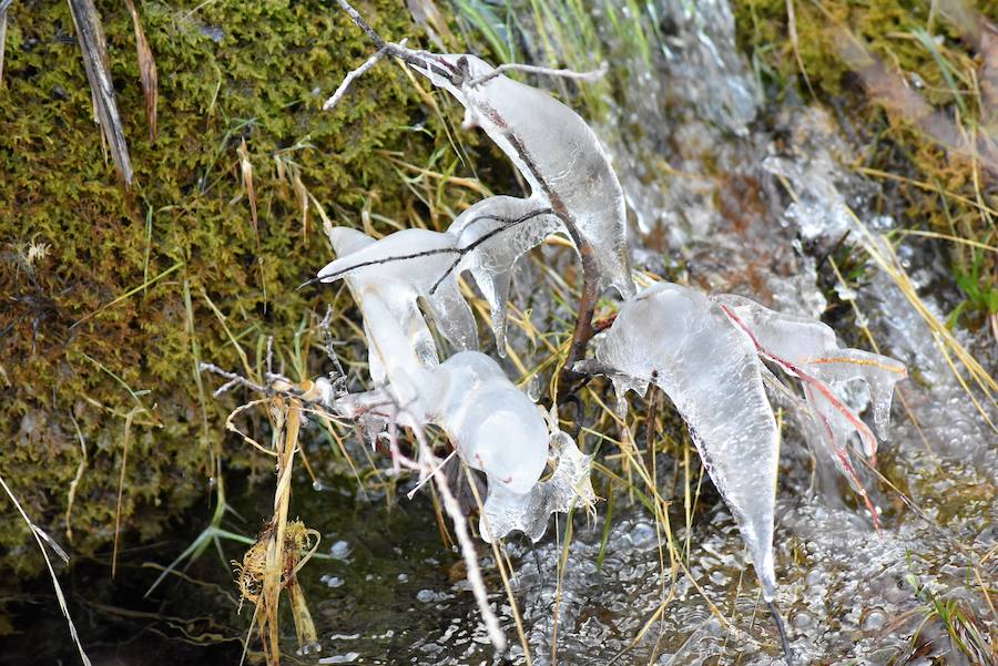 Fotos: Hielo y bajas temperaturas en Covalagua