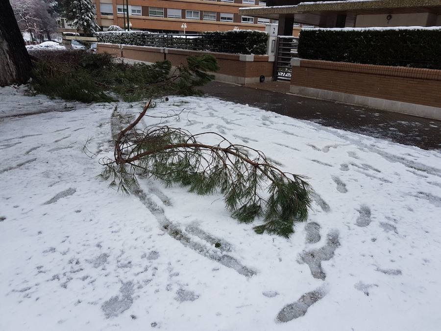 Fotos: Así ha amanecido Valladolid este miércoles