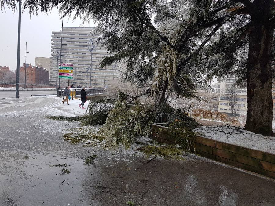 Fotos: Así ha amanecido Valladolid este miércoles