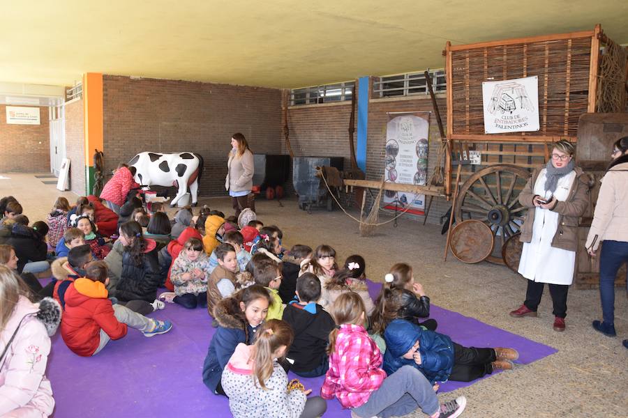 Fotos: El colegio Las Rozas centra el aprendizaje en la Montaña