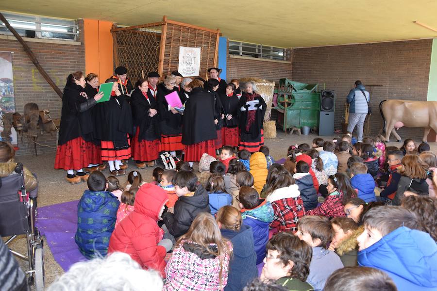 Fotos: El colegio Las Rozas centra el aprendizaje en la Montaña