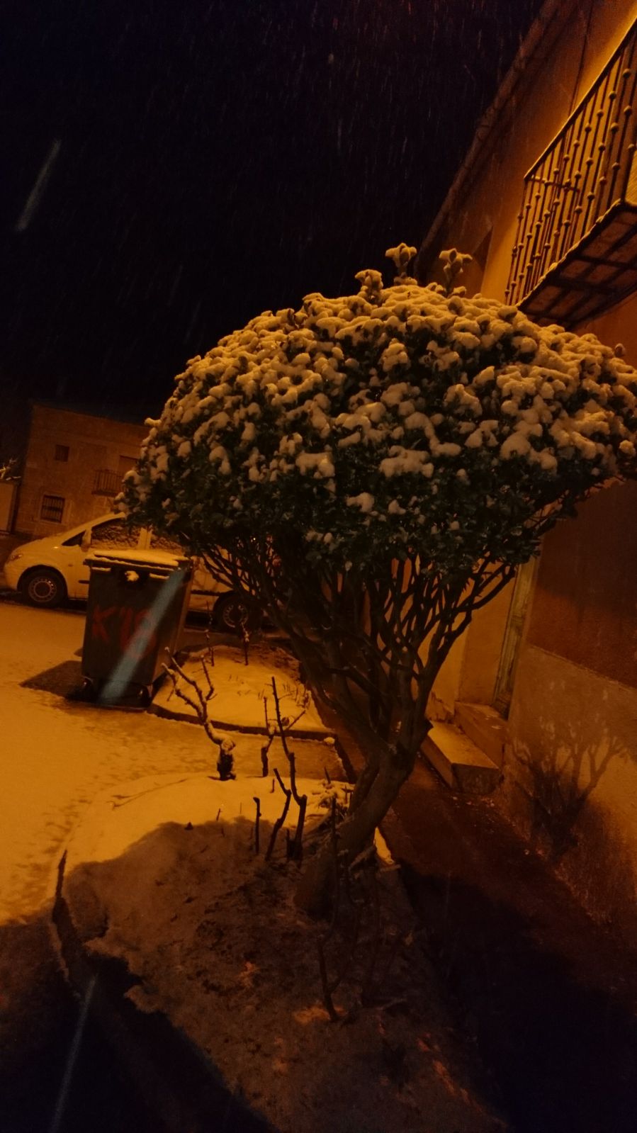Cogeces del Monte.