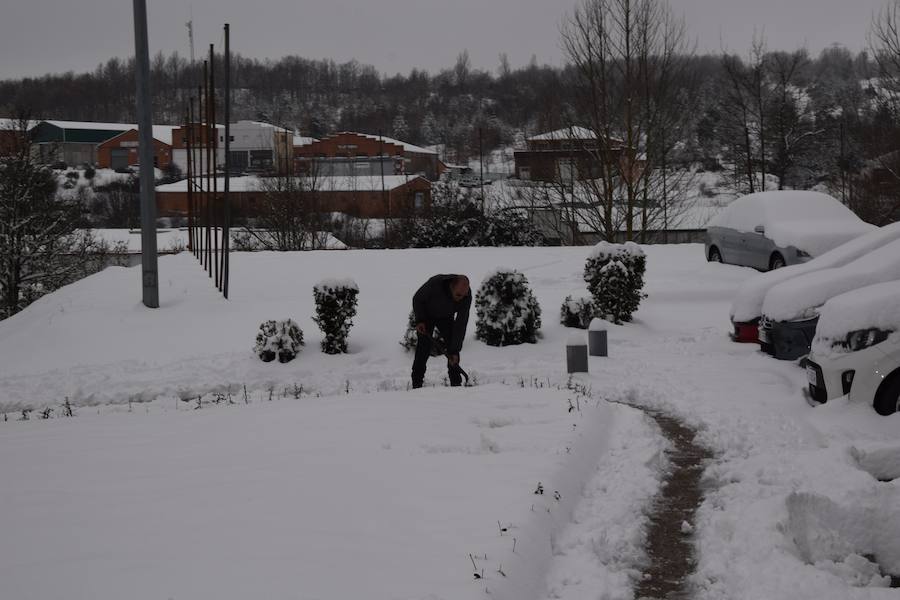 Fotos: Nieve en Guardo