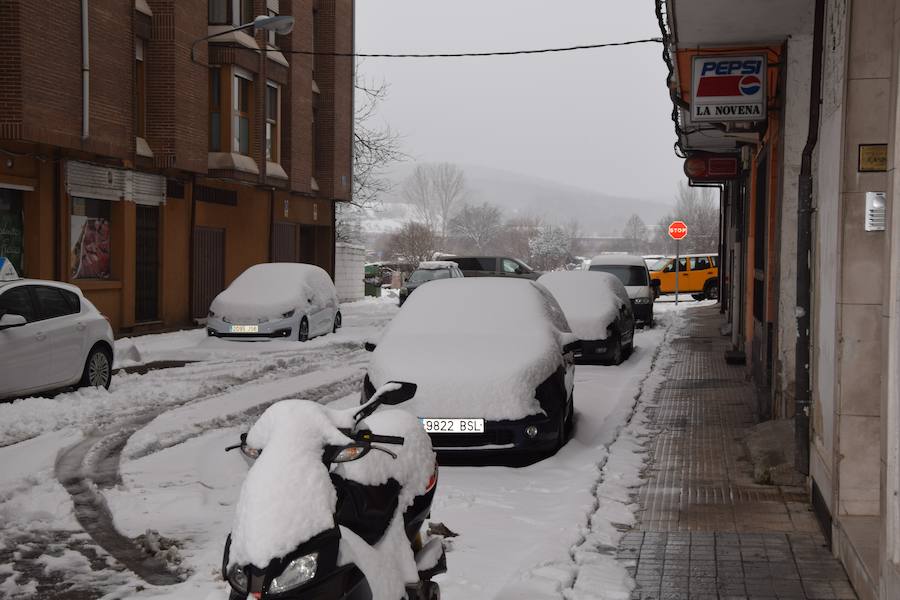 Fotos: Nieve en Guardo