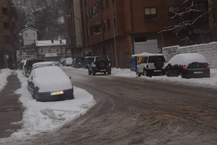 Fotos: Nieve en Guardo