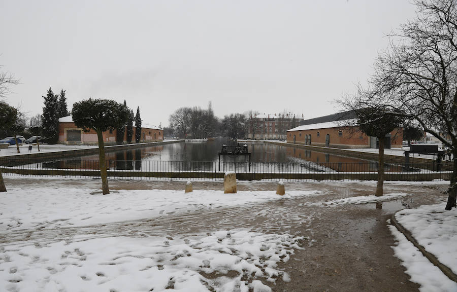 Fotos: La capital palentina se tiñe de blanco II