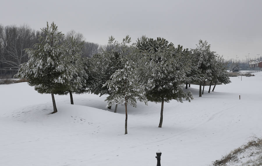 Fotos: La capital palentina se tiñe de blanco II