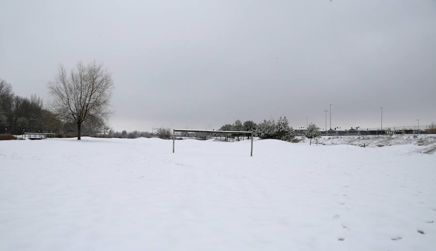 Fotos: La capital palentina se tiñe de blanco II